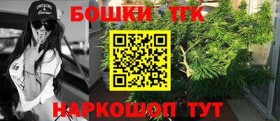 гашик Тверь