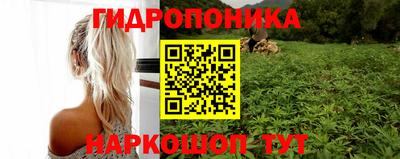 гидра Тара