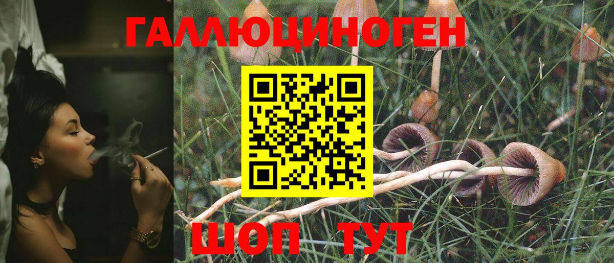 Псилоцибиновые грибы Cubensis Нижневартовск